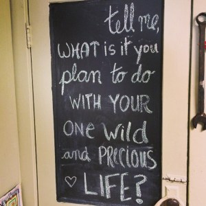 10801689_10152576707856429_6066328833106252331_n